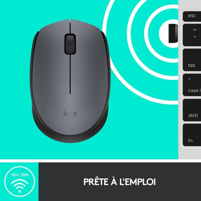 Logitech M170