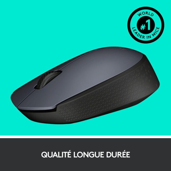 Logitech M170