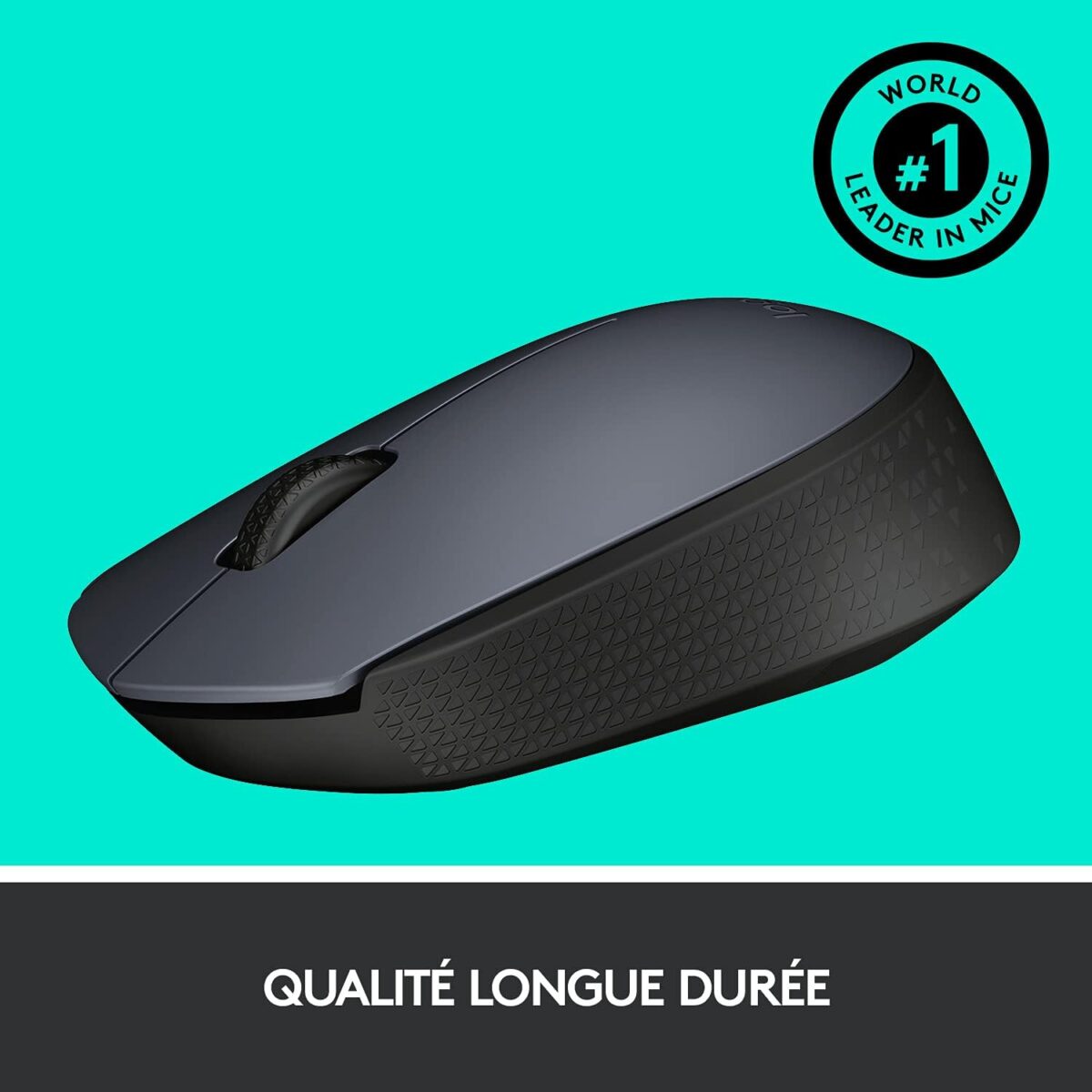 Logitech M170