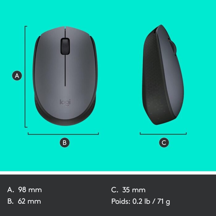 Logitech M170