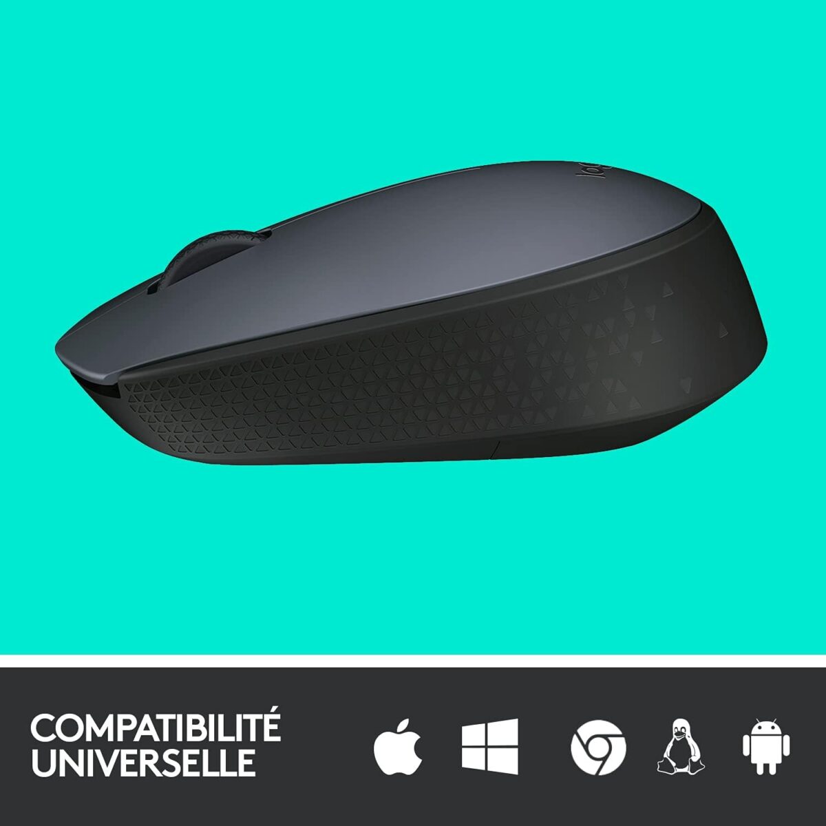 Logitech M170