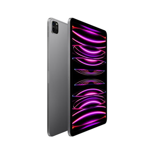 iPad Pro Puce M2 128Go Silver
