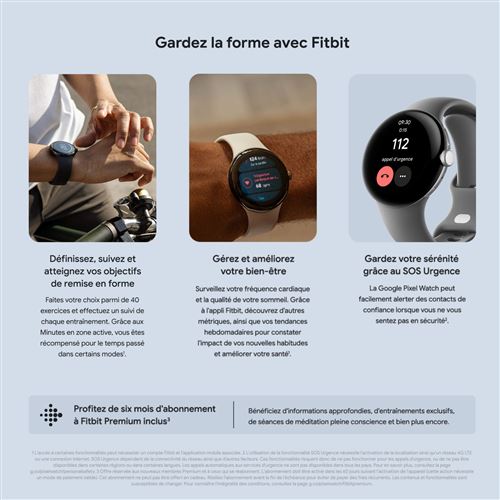 Google Pixel Watch Wifi Argent avec bracelet sport Galet 41 mm