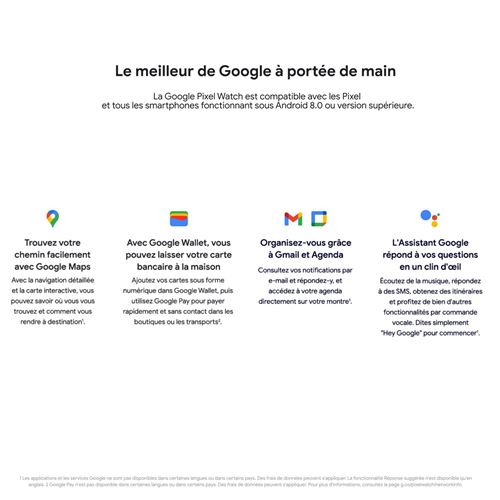 Google Pixel Watch Wifi Argent avec bracelet sport Galet 41 mm