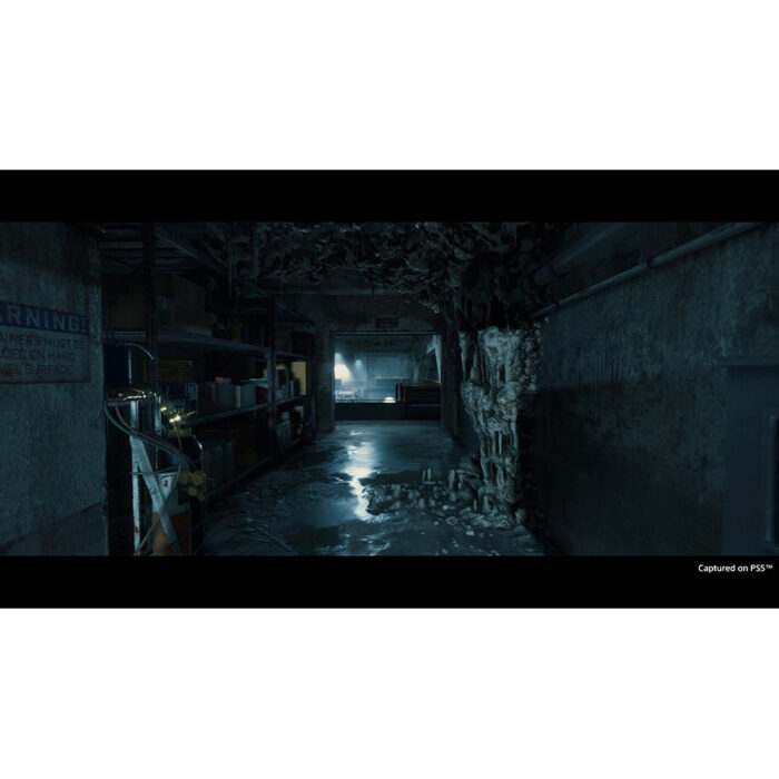 Death Stranding Directors Cut (PS5)