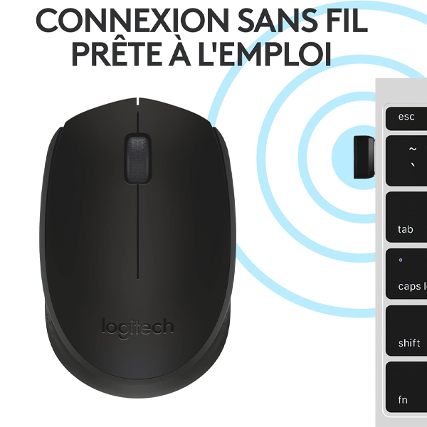 Logitech M171 Souris Sans Fil