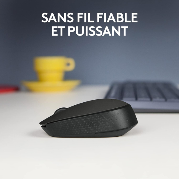 Logitech M171 Souris Sans Fil