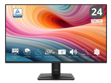 MSI PRO MP252L 24,5” IPS Full HD 100Hz 1ms