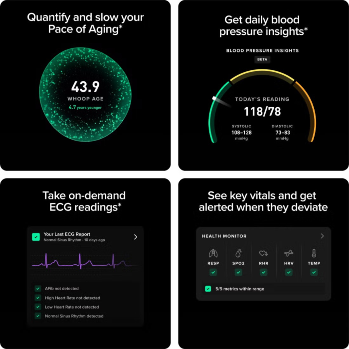 WHOOP Life 12-Month Membership 5.0/MG Life Onyx Tracker