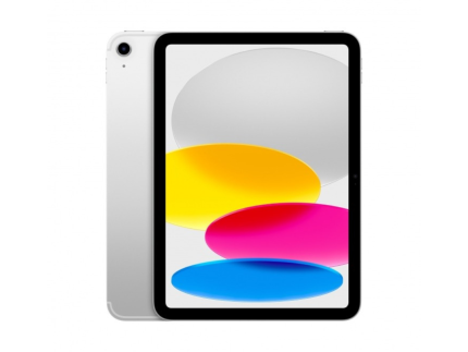 Apple iPad A16 10,9″ 128Go
