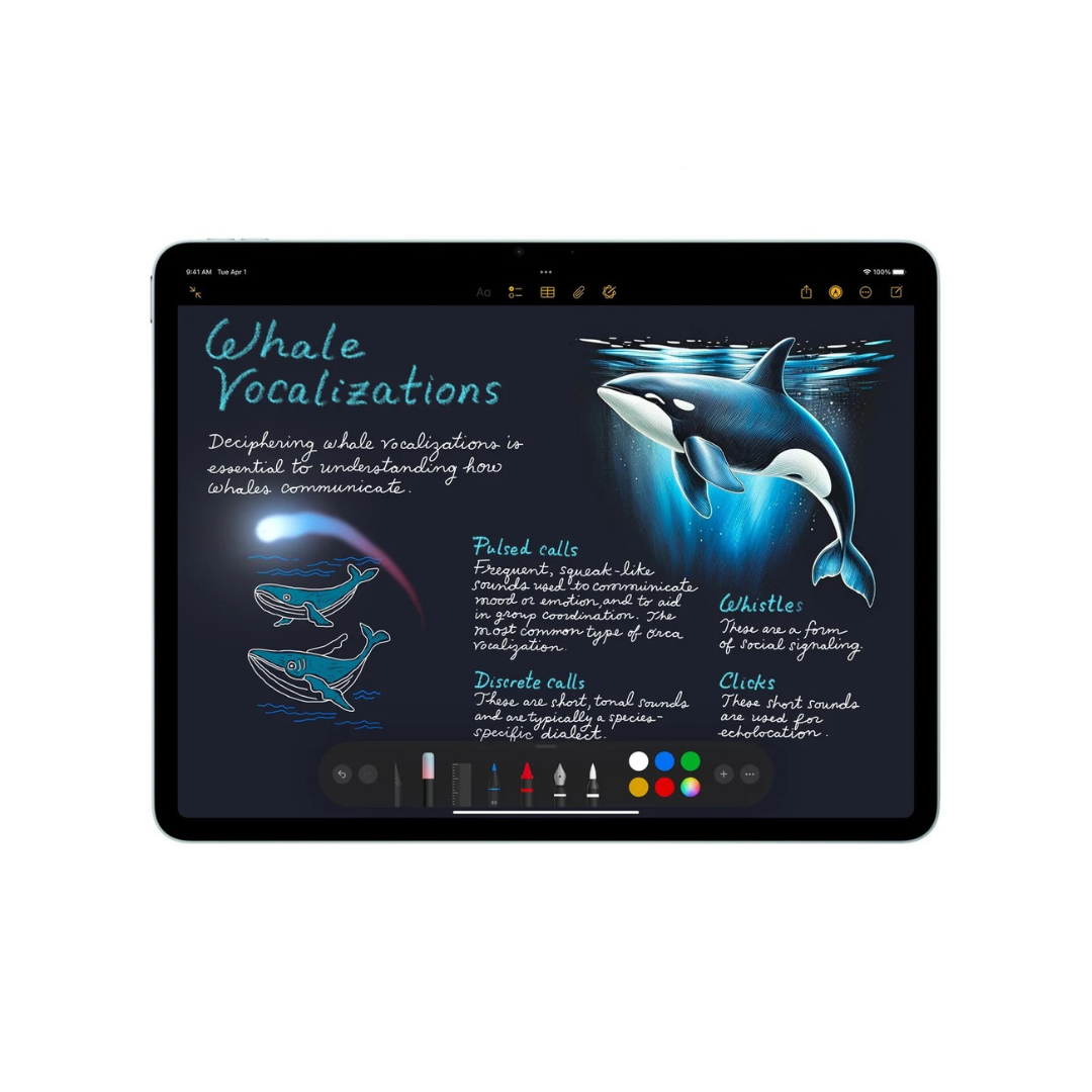 iPad Air 11” M3 WiFi 512 Go Apple