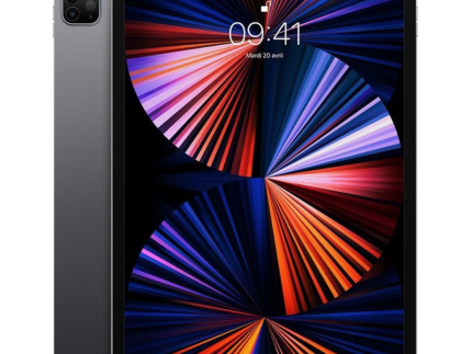 Apple iPad Pro 12.9” 5e Génération 512 Go Cellulaire Occasion
