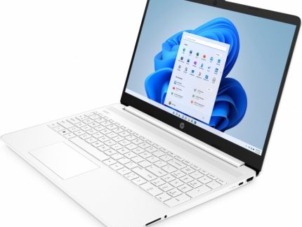 HP LAPTOP 255 g8 Ryzen 5 5500U 8GB RAM 256 Go SSD NVME AMD RADEON GRAPHICS